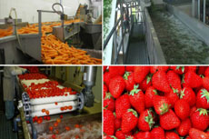 Fruits and vegetables Water Disinfection