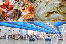 Aquaculture seafood Ozone  