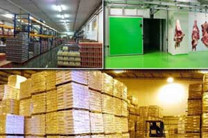 Ozone in Warehouse and Cold Storage 